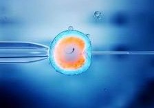 在贵州试管一个四级胚胎成功的几率高吗？