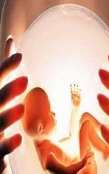 黄石市中心医院试管费用是多少钱，试管详细费用曝光