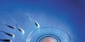 天门市第一人民医院做三代试管婴儿成功率高不高？什么因素可以影响到试管成功率